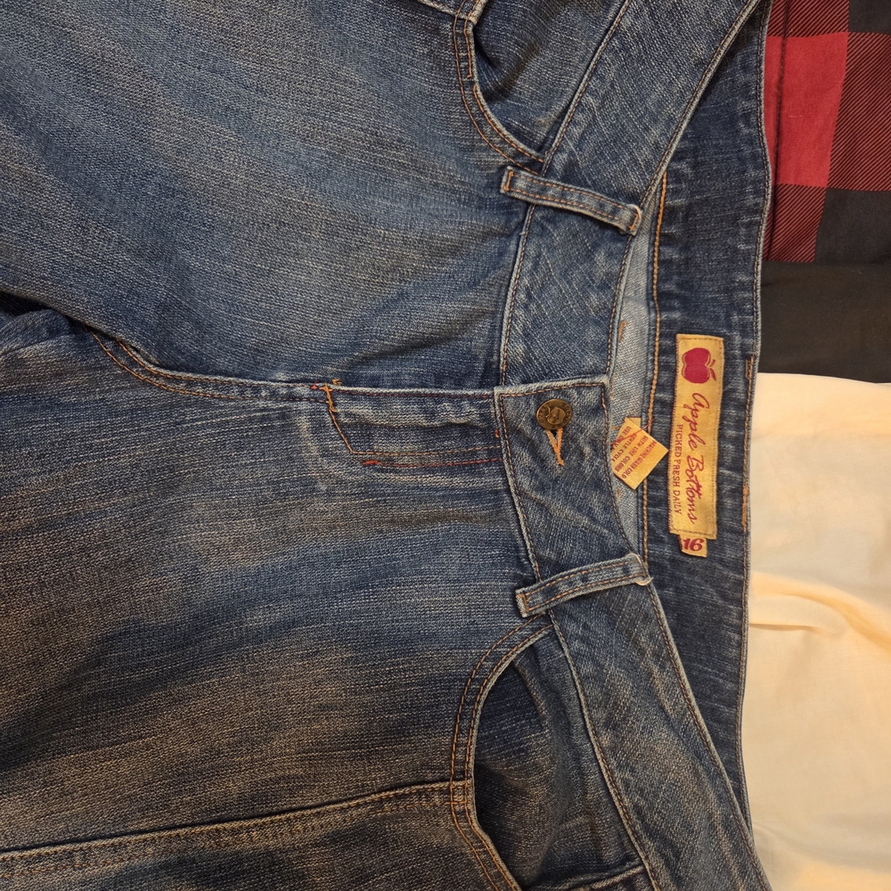 Vintage Apple Bottoms Women's Blue Jeans